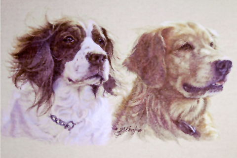 Colored Pencil
